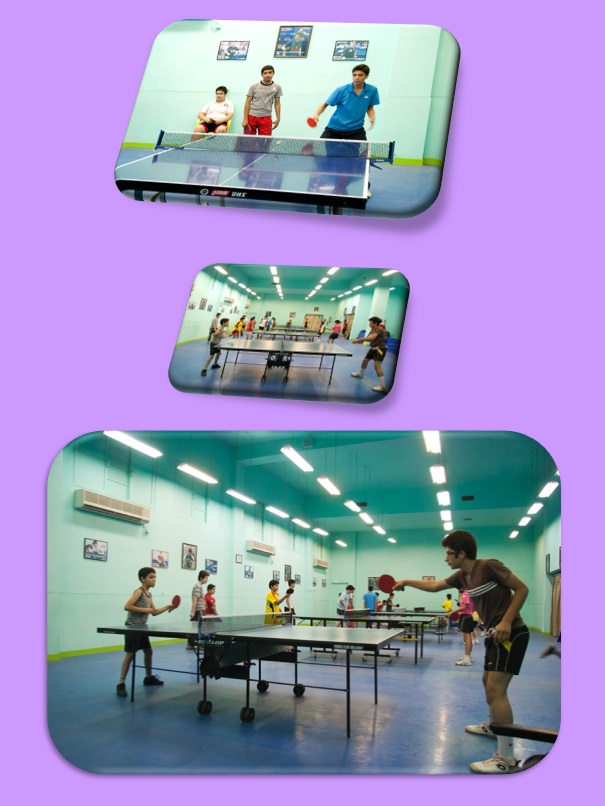 سالن تنیس روی میز مرحوم نوید حجازی 218 دستگاه