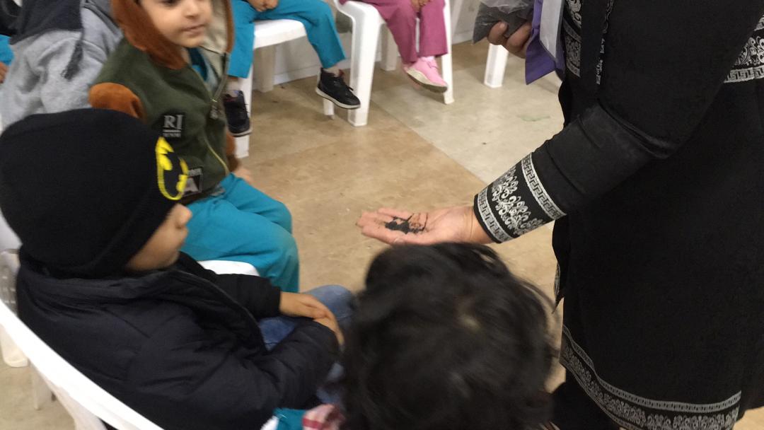 بازدید از نمایشگاه گل و گیاه 23 دی 1