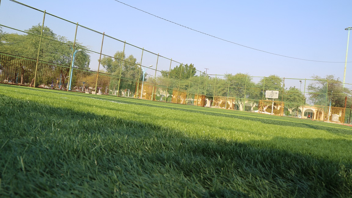 چمن مصنوعی 2