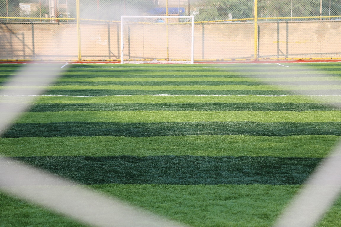 چمن مصنوعی 4