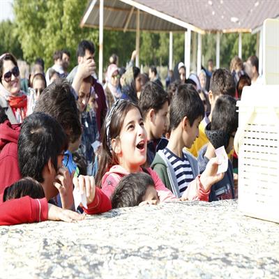 پرواز بادبادک ها 6 دی 98 21