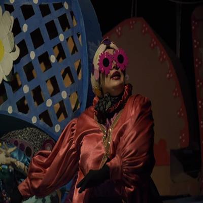 شاپرک خانم 8