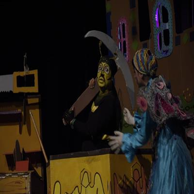 شاپرک خانم 4