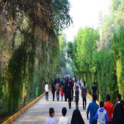 پیاده روی 10 آبان 8