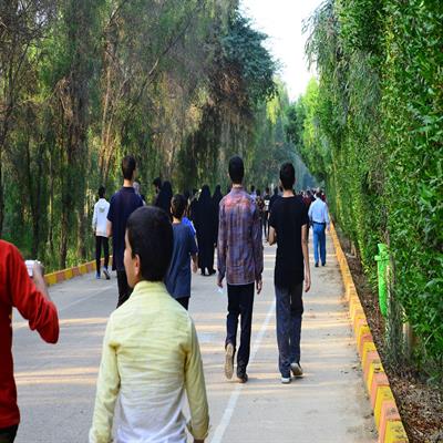 پیاده روی 10 آبان 7