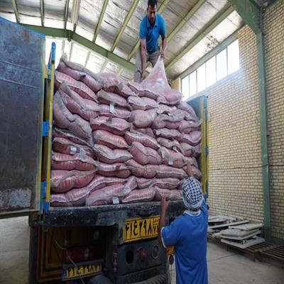 کمک معیشتی 16