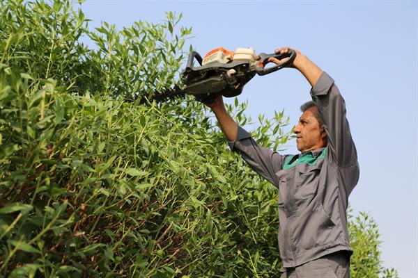 از برقراری روشنایی در دو مسیر اصلی تا اصلاح فضای سبز شهرک بعثت