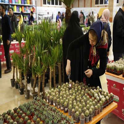 نمایشگاه گل و گیاه 4