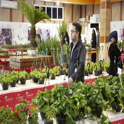 نمایشگاه گل و گیاه 7