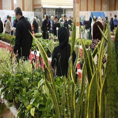 نمایشگاه گل و گیاه 2