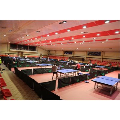 جانبازان و معلولین 38