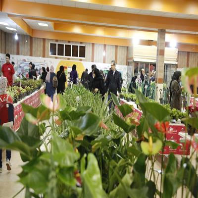 نمایشگاه گل و گیاه 3
