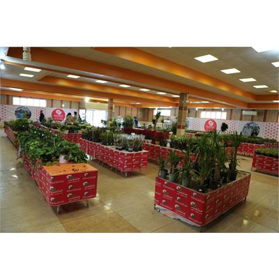 نمایشگاه گل و گیاه 5