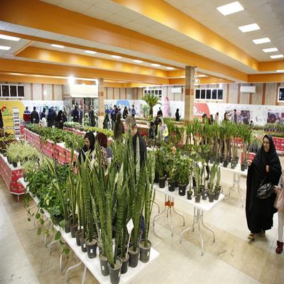 نمایشگاه گل و گیاه 1