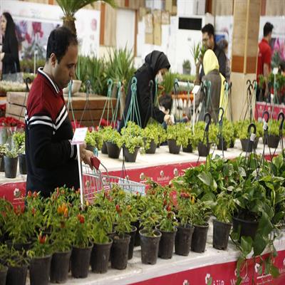 نمایشگاه گل و گیاه 6