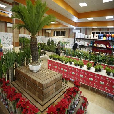 نمایشگاه گل و گیاه 12