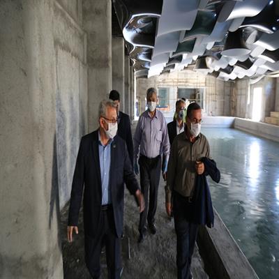 هیئت مدیره 6