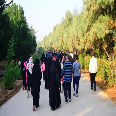 پیاده روی 10 آبان 4