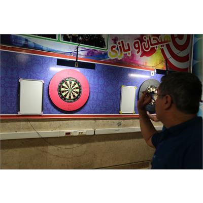 جانبازان و معلولین 31